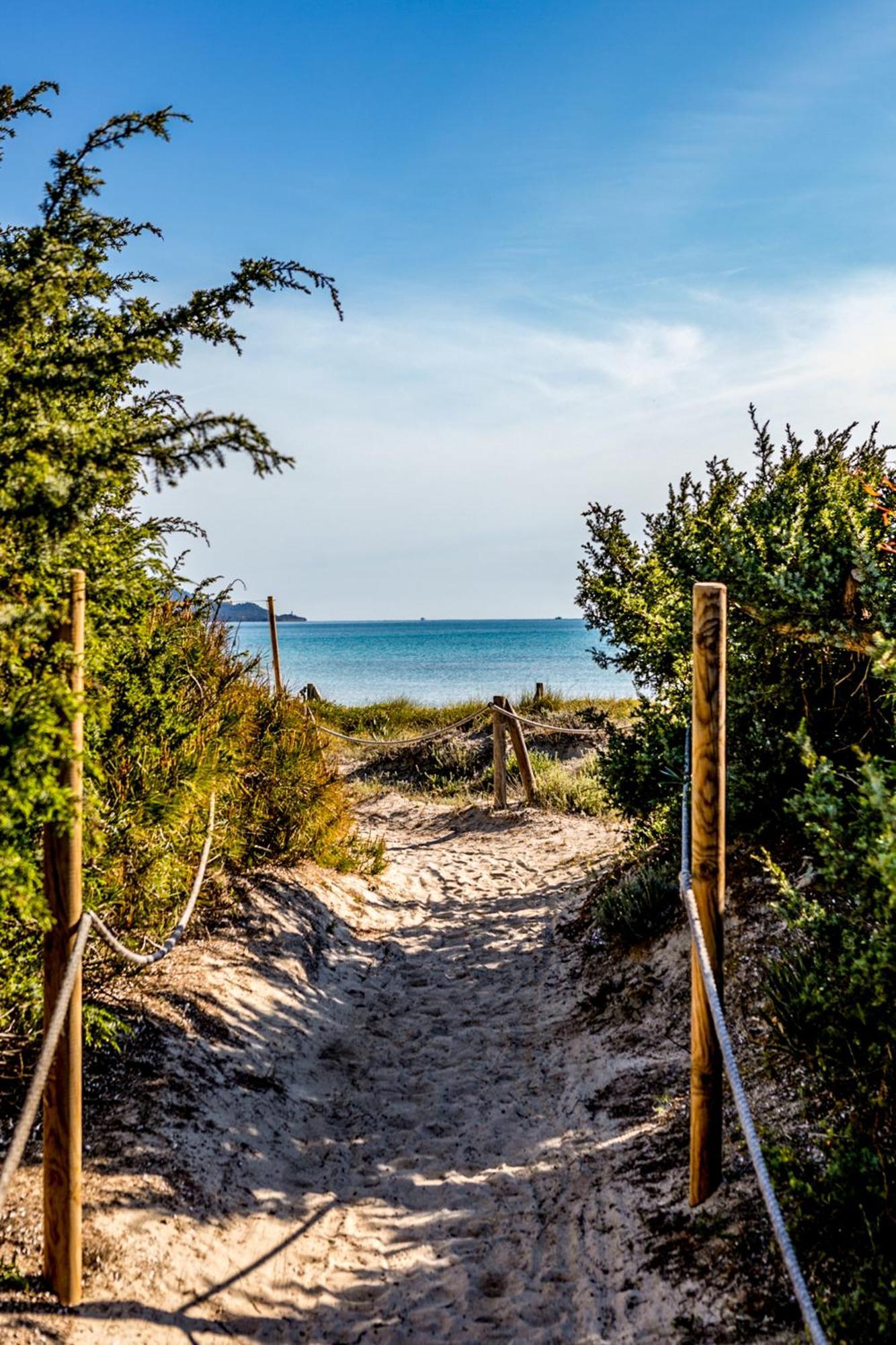 Grupotel Parc Natural & Spa Playa de Muro  Buitenkant foto View of Lake Michigan from the dunes at the Indiana Dunes National Park